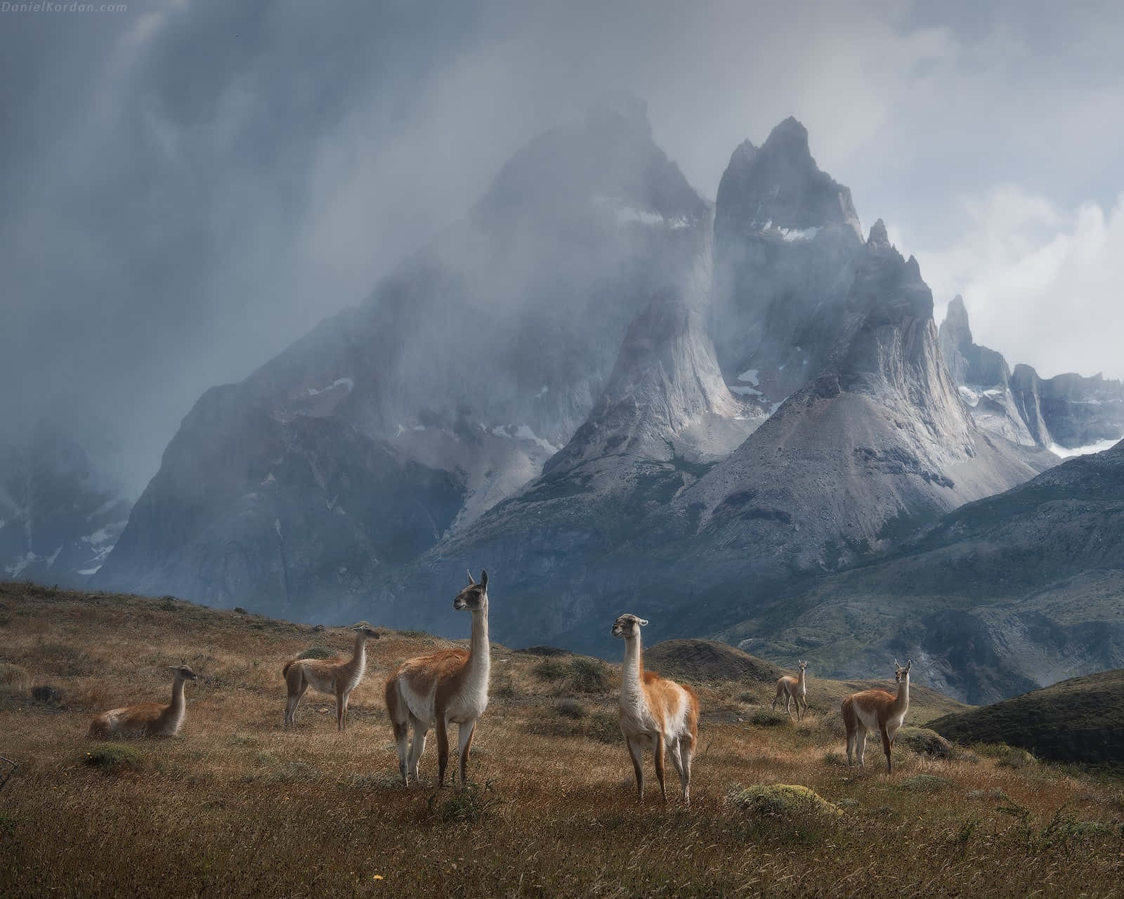 Entdeckeden Wunderschön Wilden Pfad Von Patagonien.