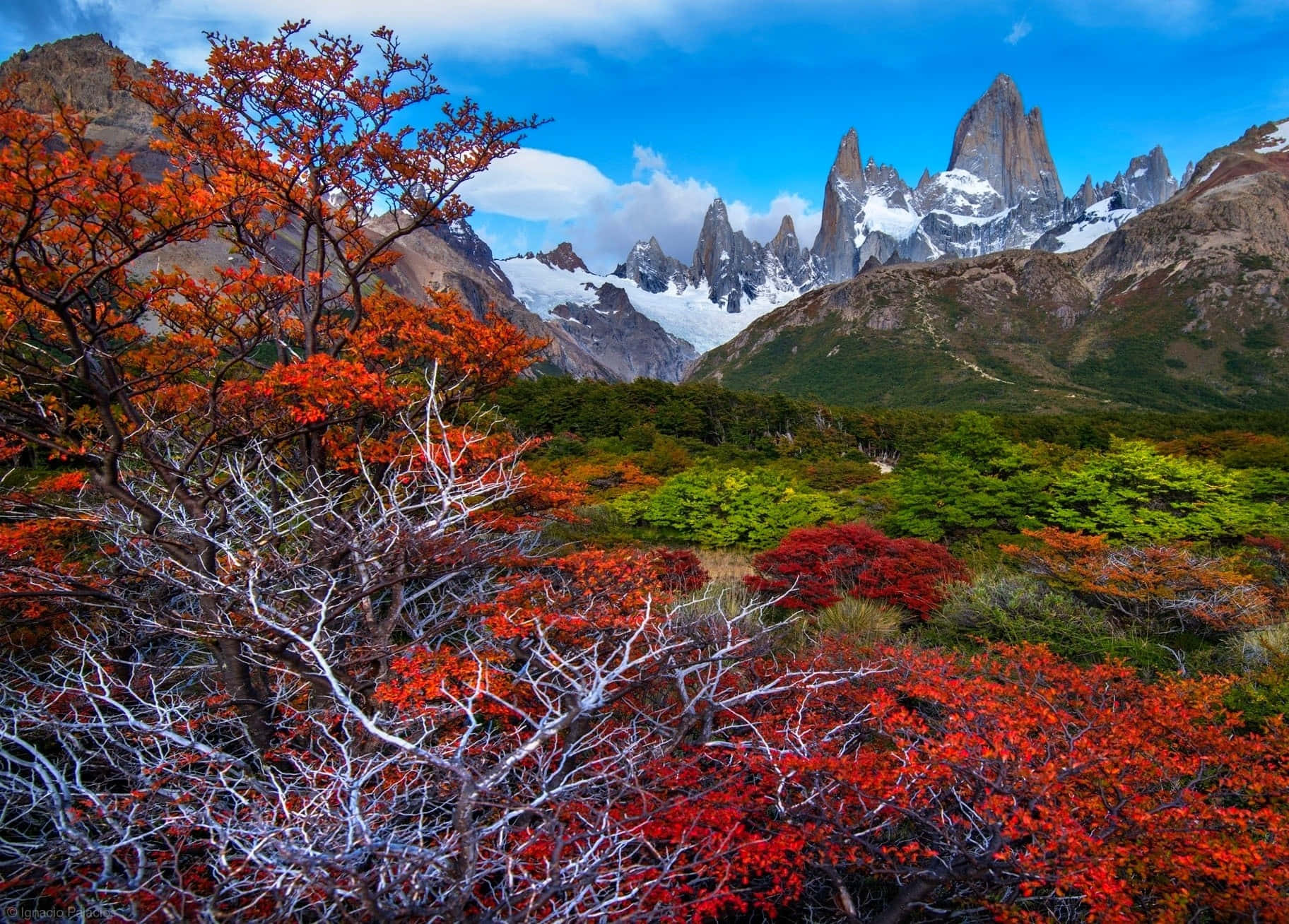 Upplevunderverket Och Skönheten I Patagonien.