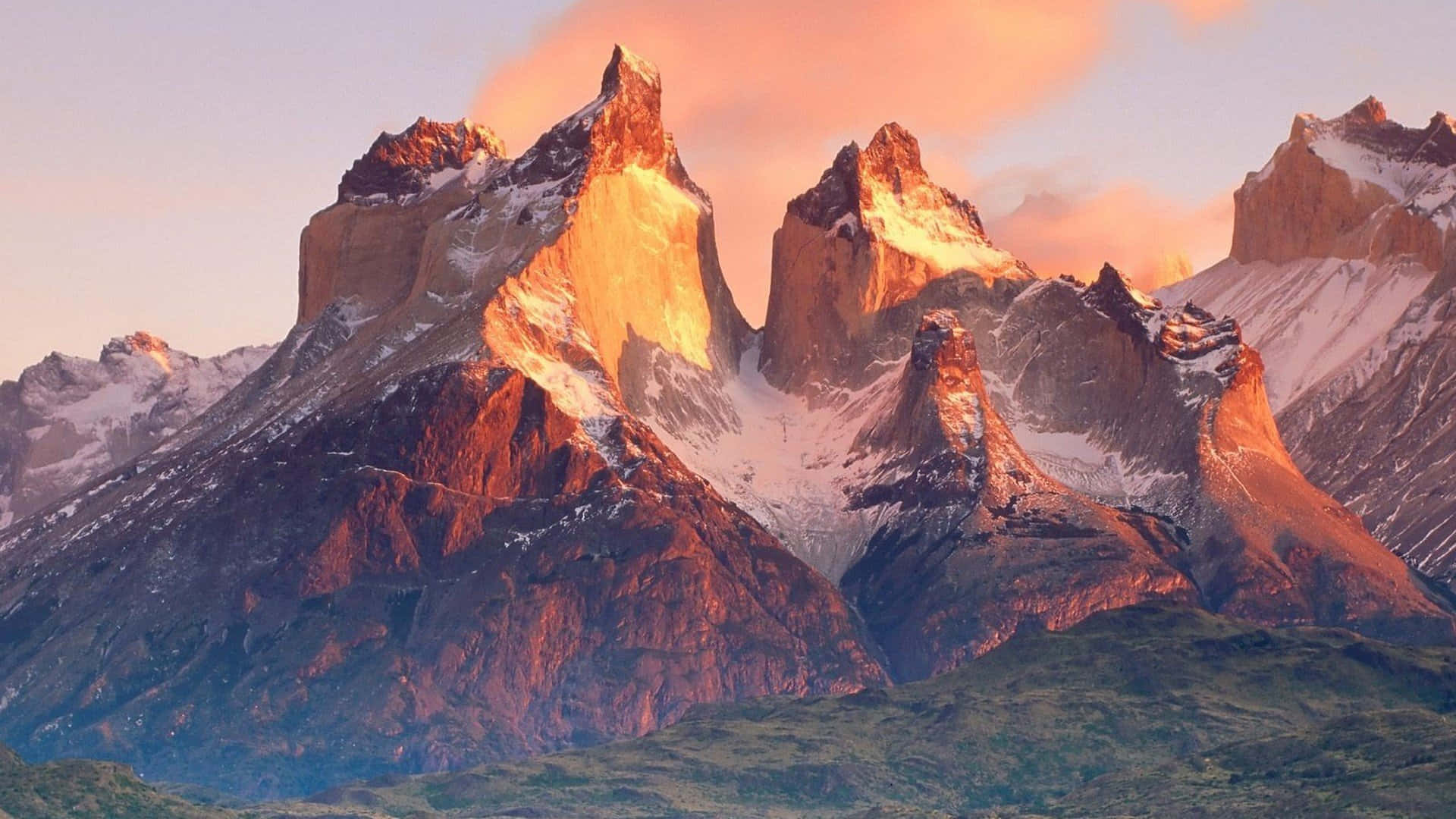 Atudforske Den Frodige Landskab I Patagonien