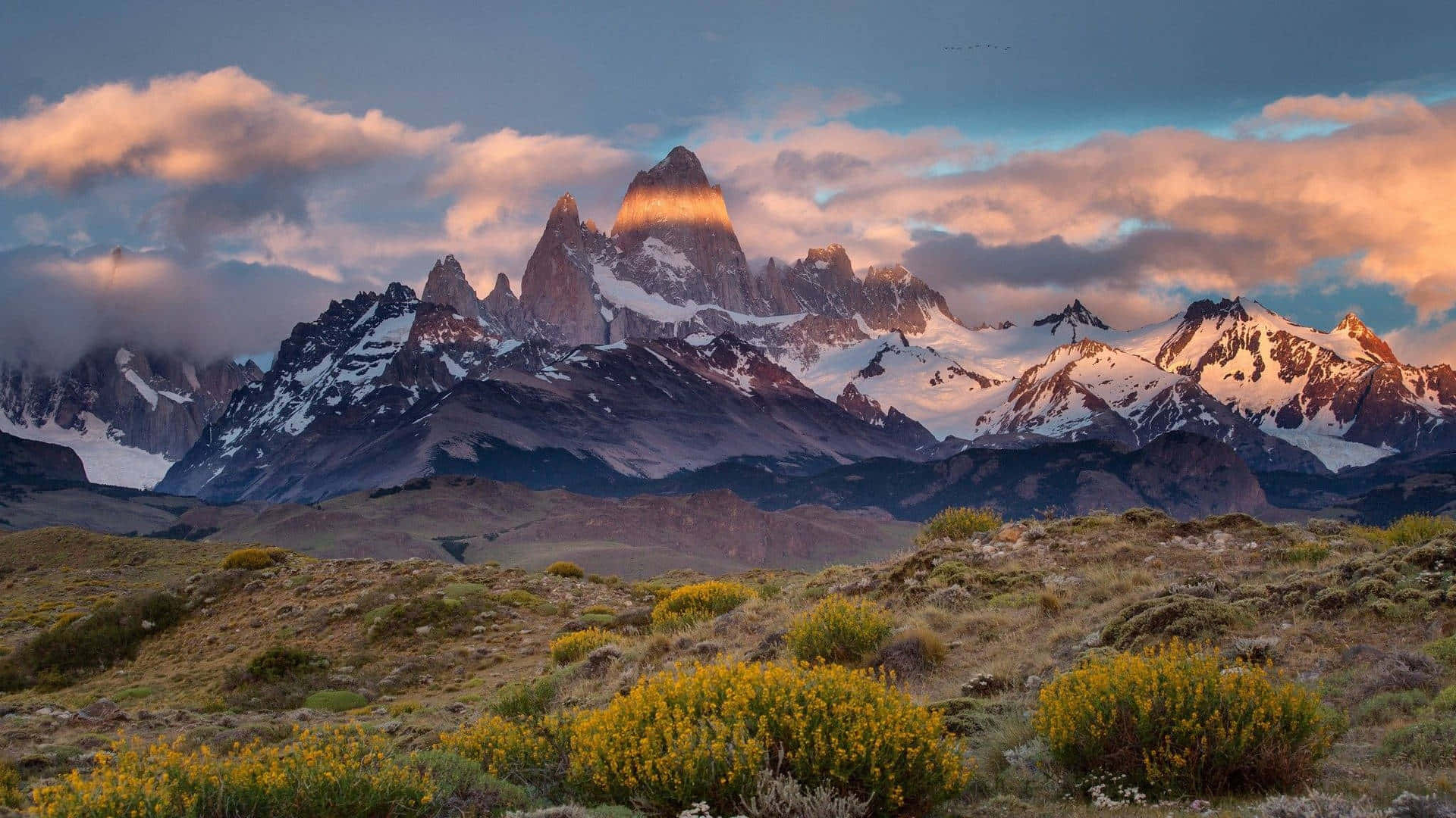 Entdeckedie Schönheit Und Wunder Von Patagonien.