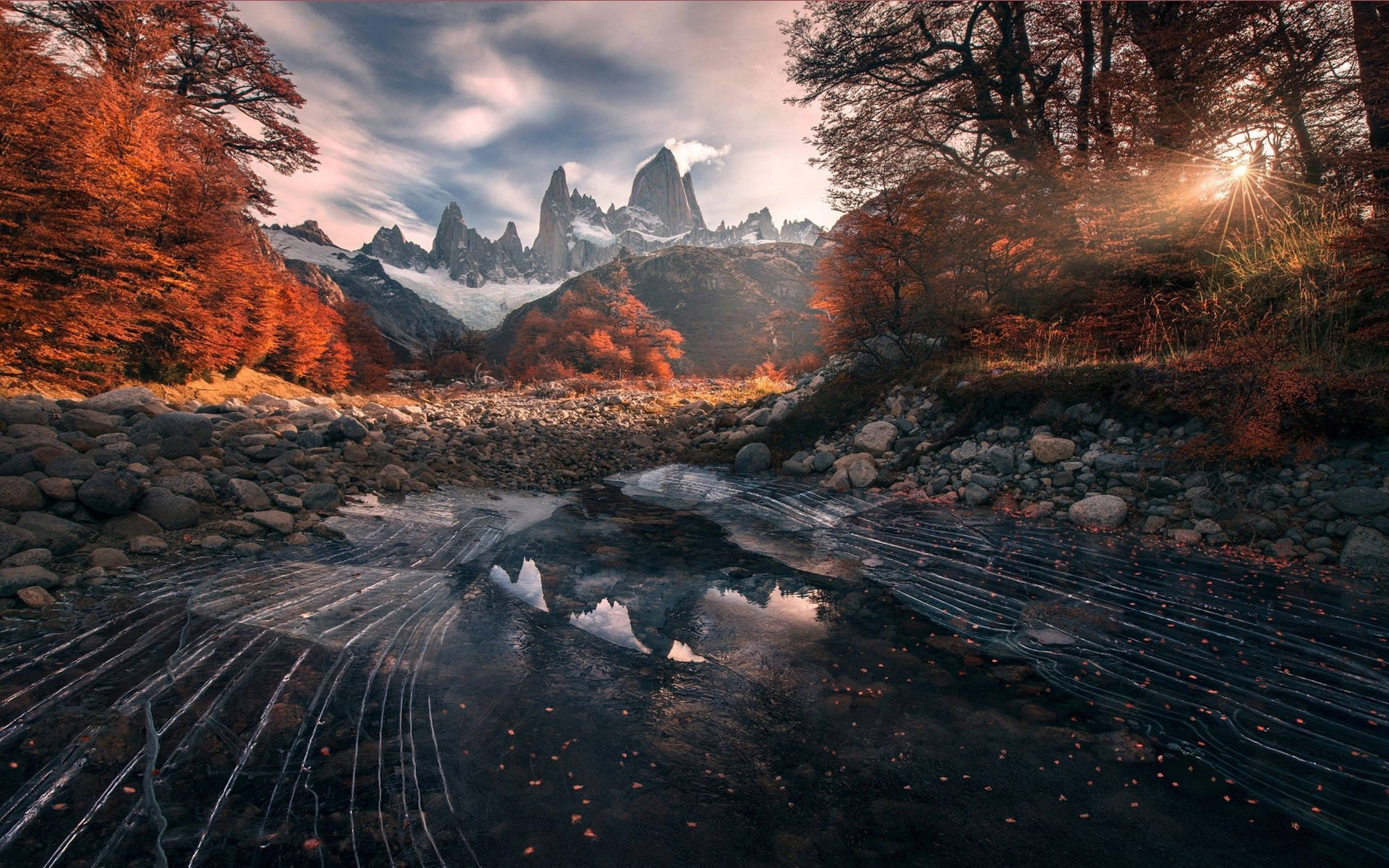 Patagonia Inside Autumn Forest