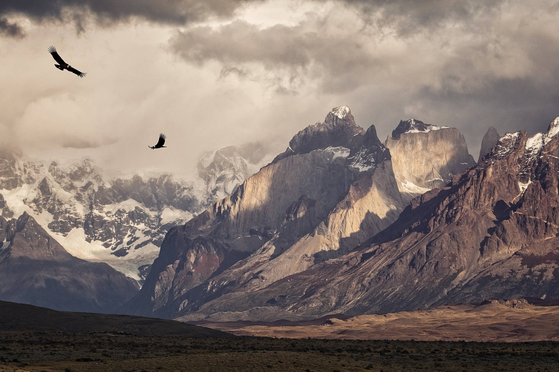 Patagonia Soaring Eagles