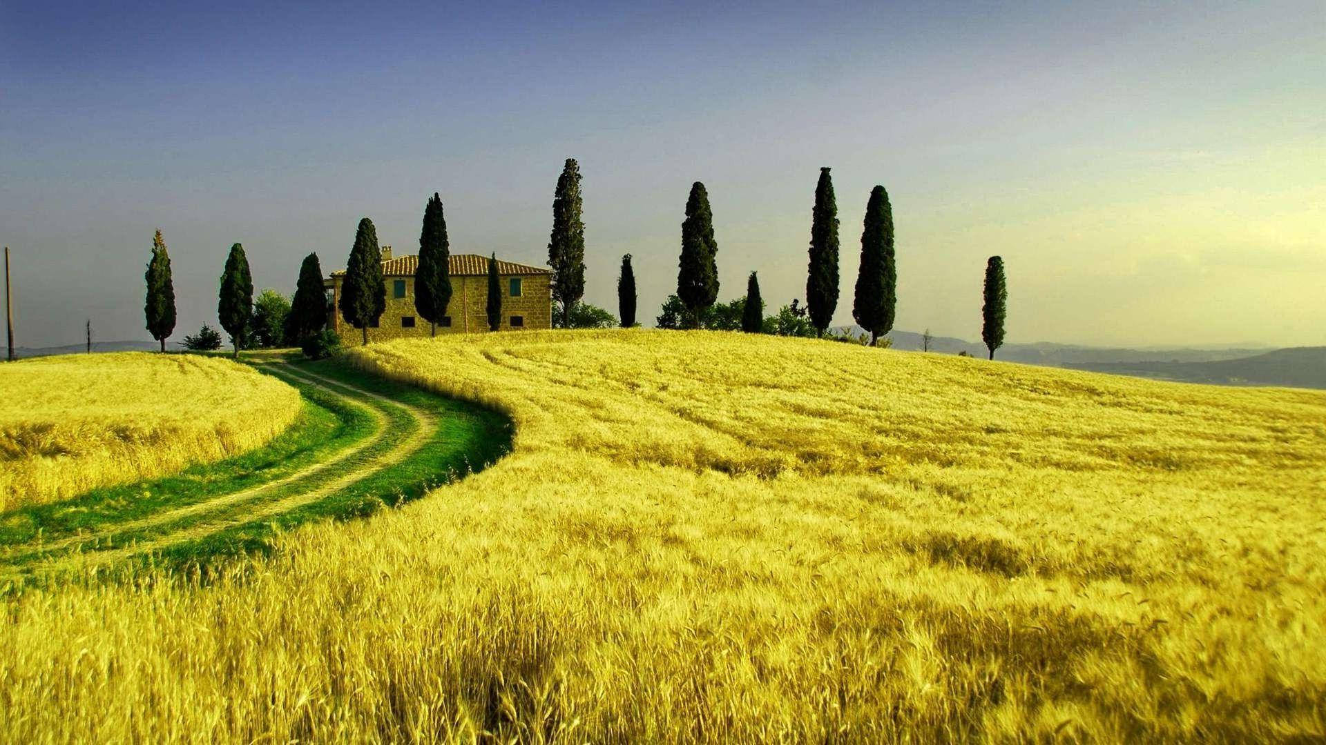 Path Leading To House Tuscany Wallpaper