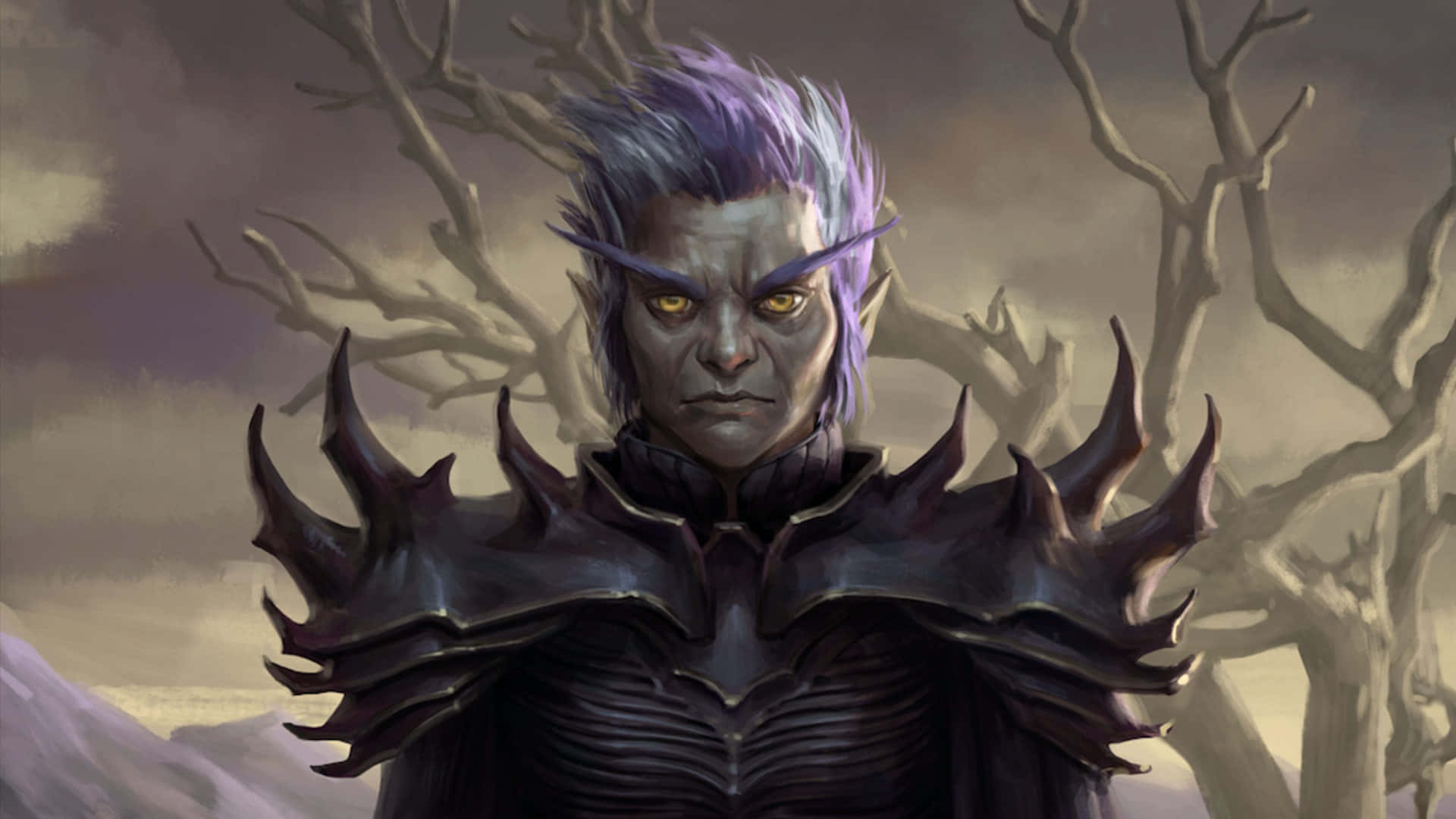 Pathfinder: Wrath Of The Righteous Purple Elf Wallpaper