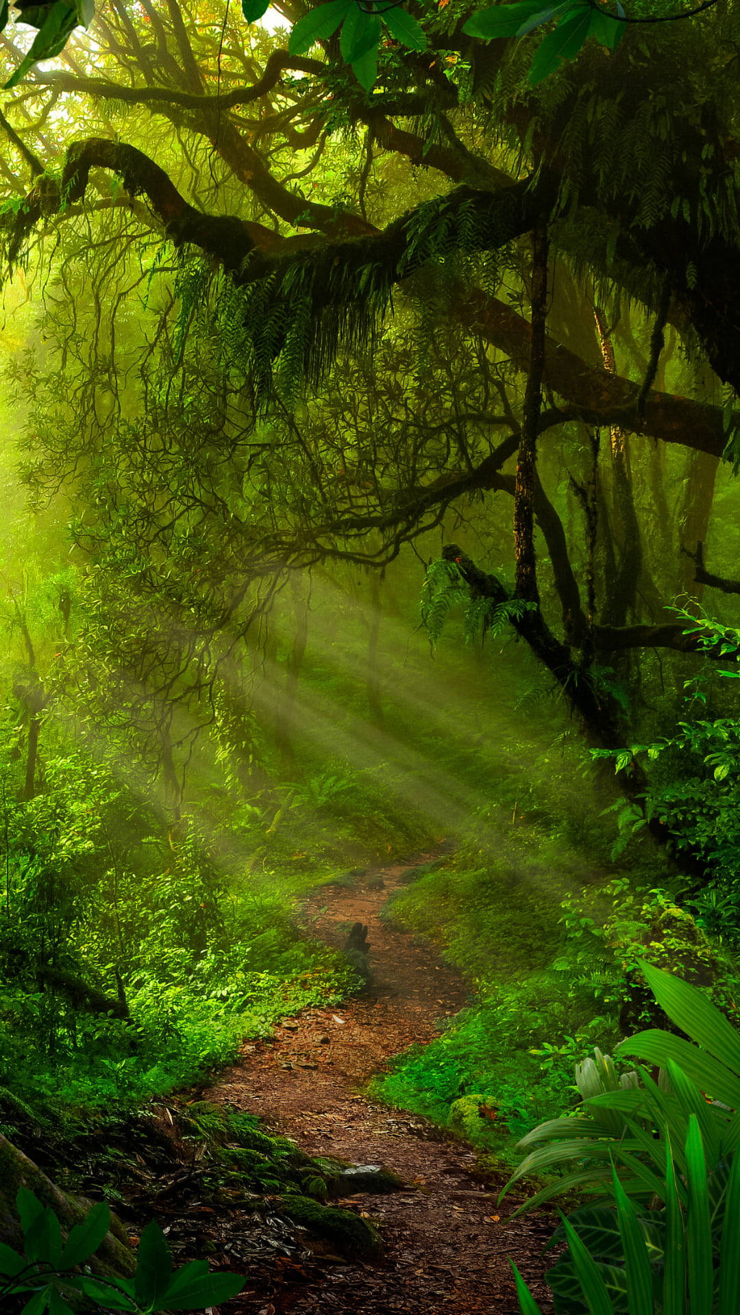 Pathway Amidst Jungle Iphone Wallpaper