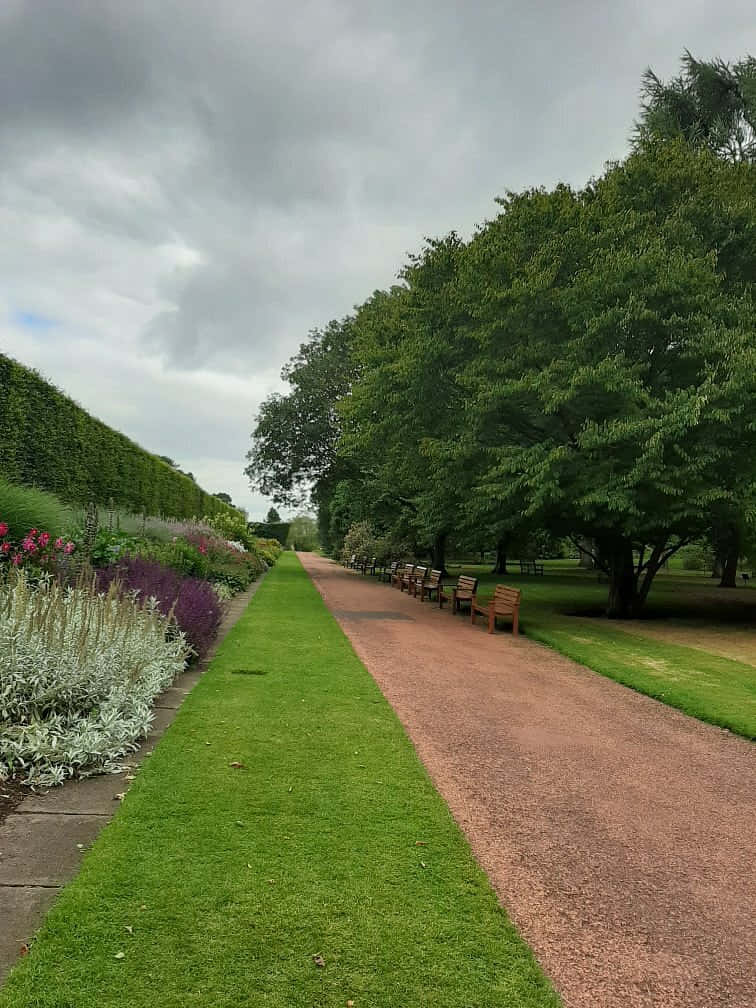 Pathwayin Royal Botanic Garden Edinburgh Wallpaper