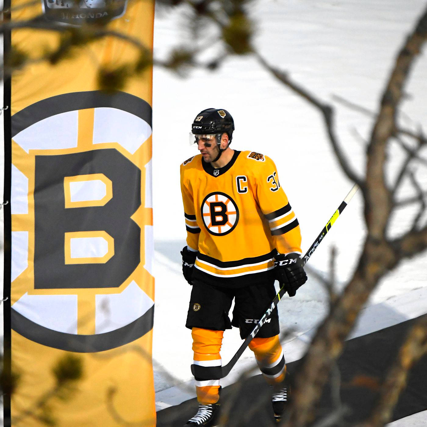 Patricebergeron En El Logotipo De Los Boston Bruins. Fondo de pantalla