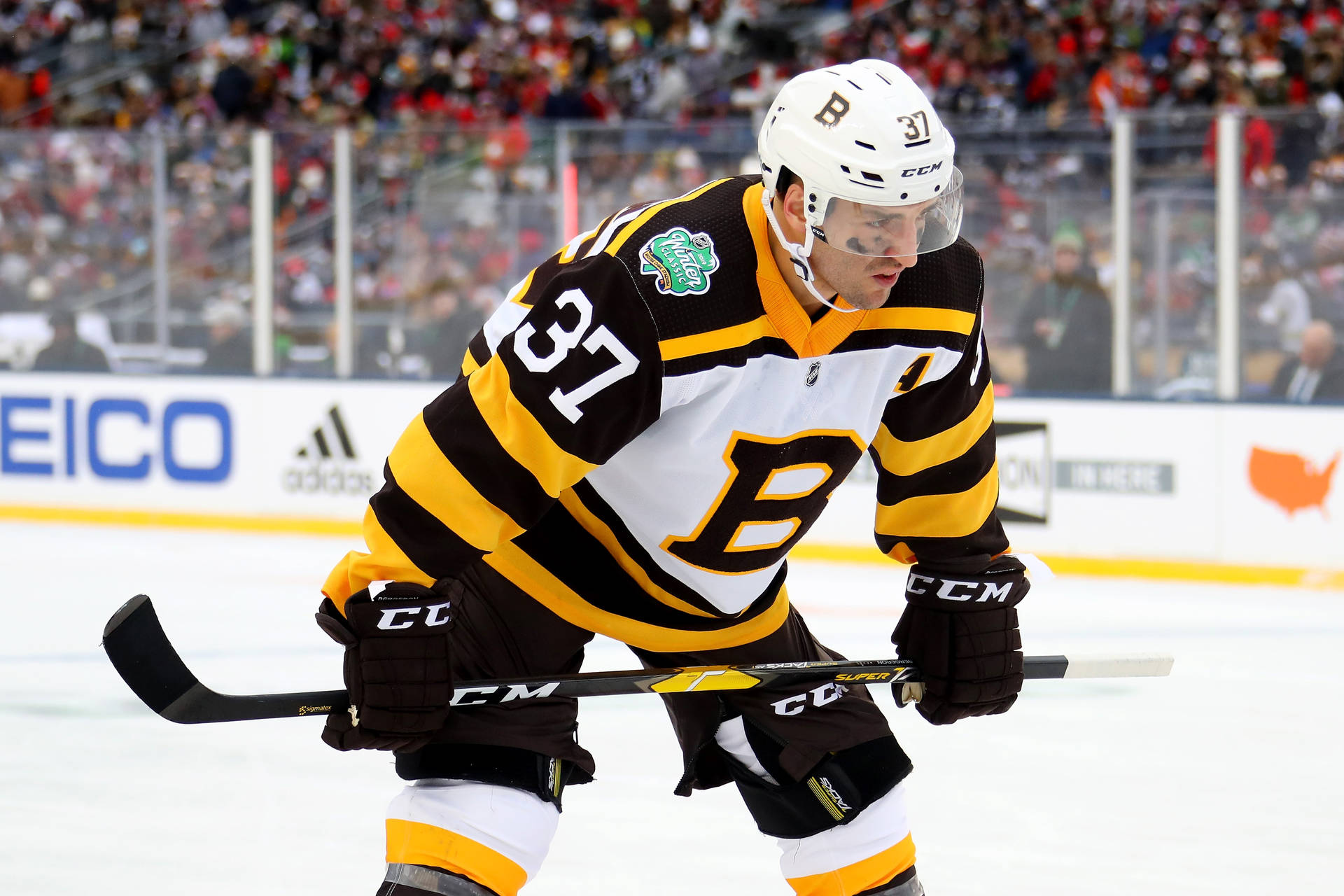 Patrice Bergeron, Boston Bruins, NHL, Canadian hockey player, portrait,  yellow stone background, HD wallpaper