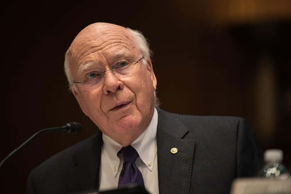 Patrick Leahy Earnest Expression Wallpaper
