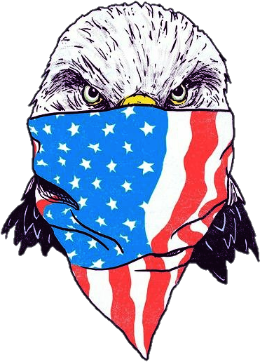 Patriotic Eagle Wearing American Flag Bandana PNG