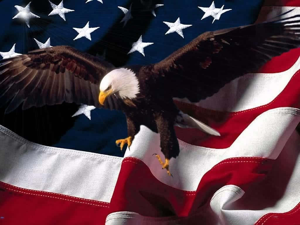 Amerikanischeflagge Und Fliegender Weißkopfseeadler, Patriotisch Und Militärisch. Wallpaper