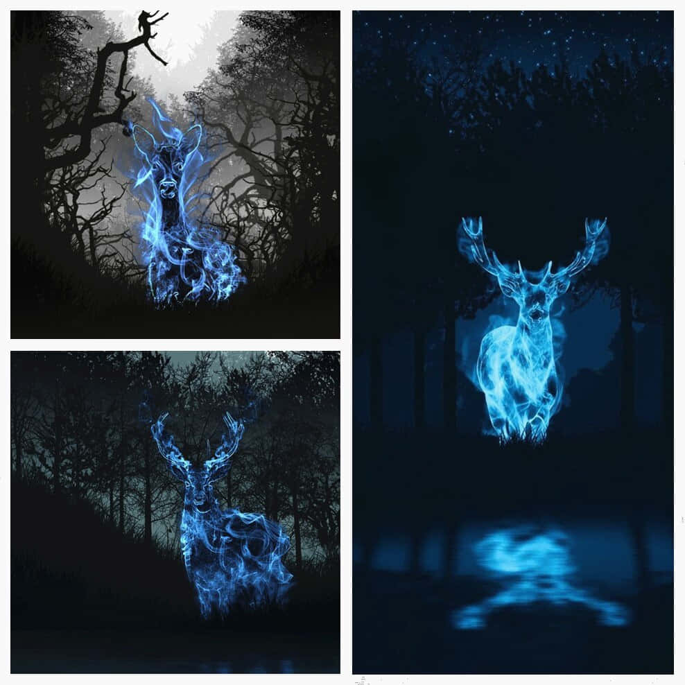 Enchanting Patronus in a mystical forest Wallpaper