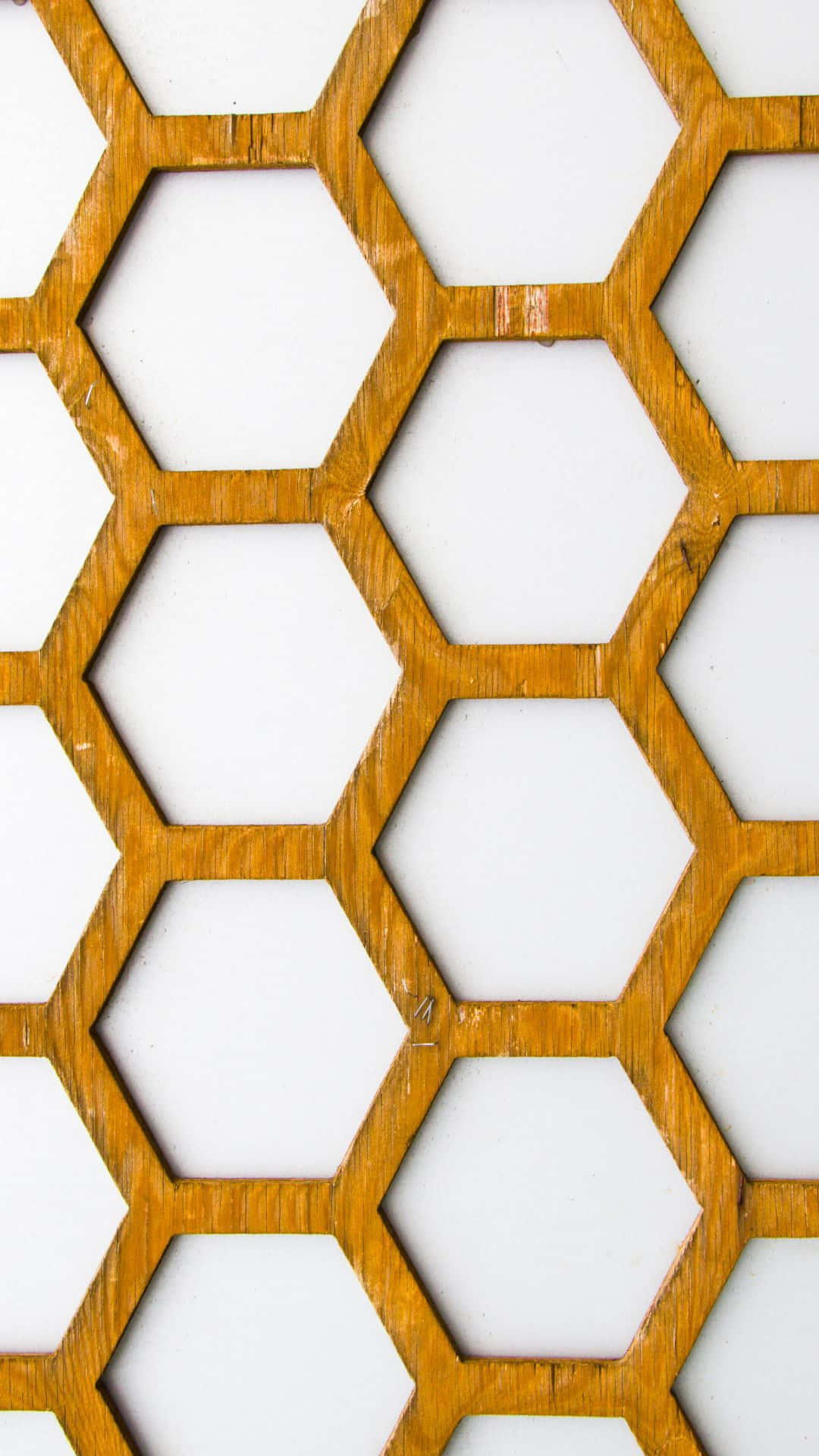 honeycomb wall art