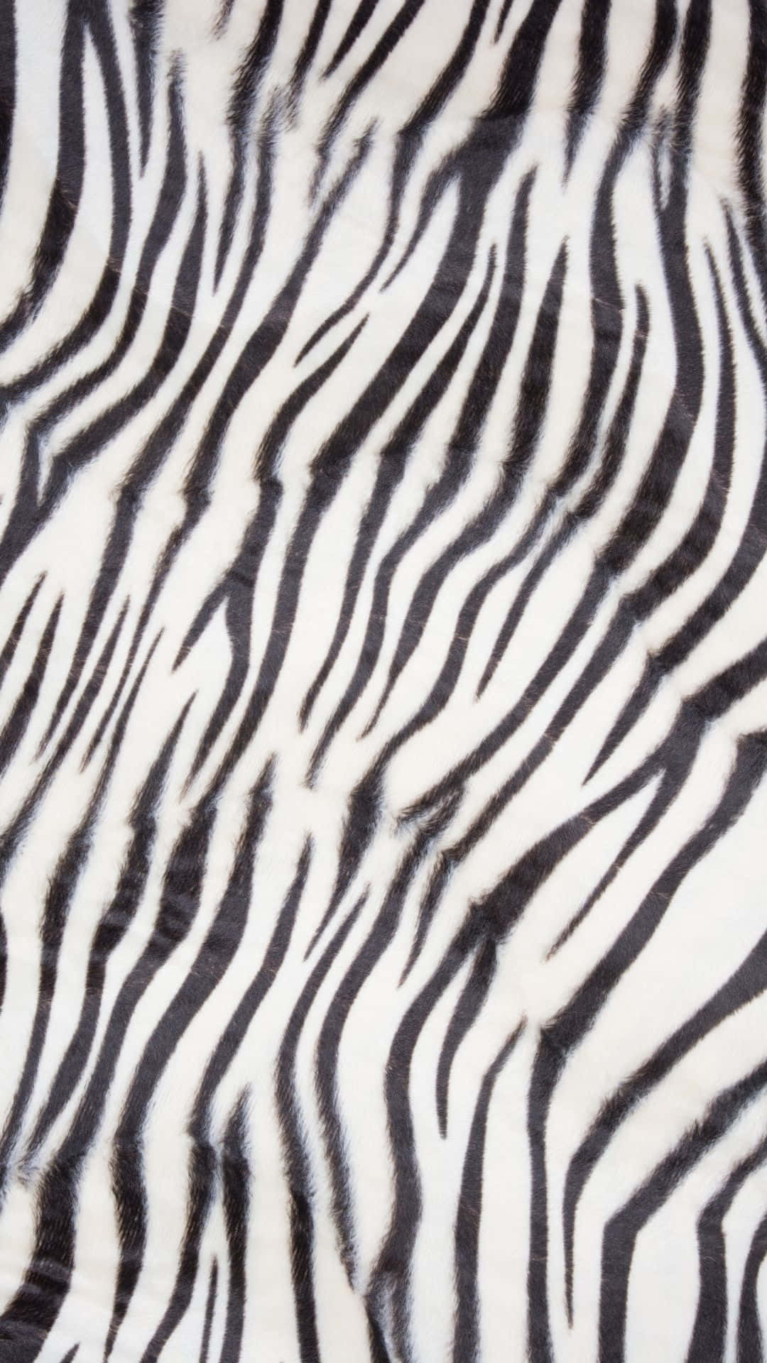 Sfondofotografico Con Stampa Di Zebra