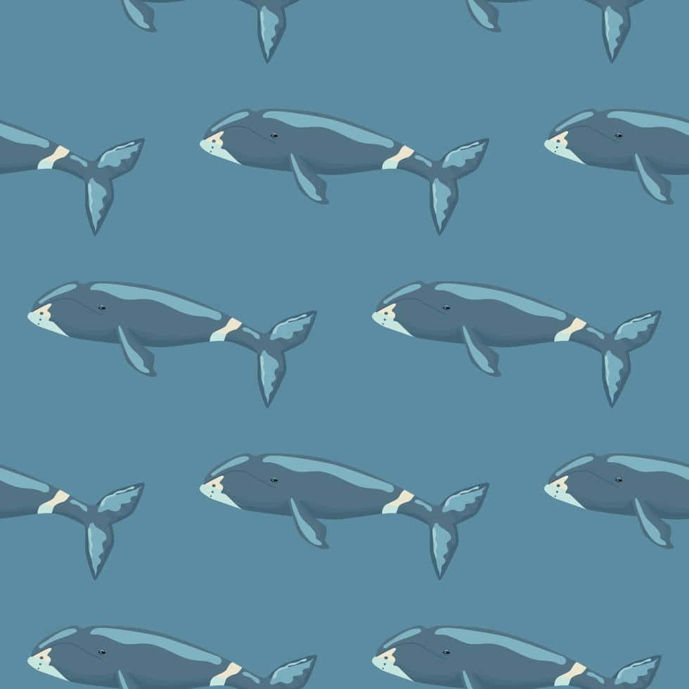 Patterned Bowhead Whales Illustration Wallpaper