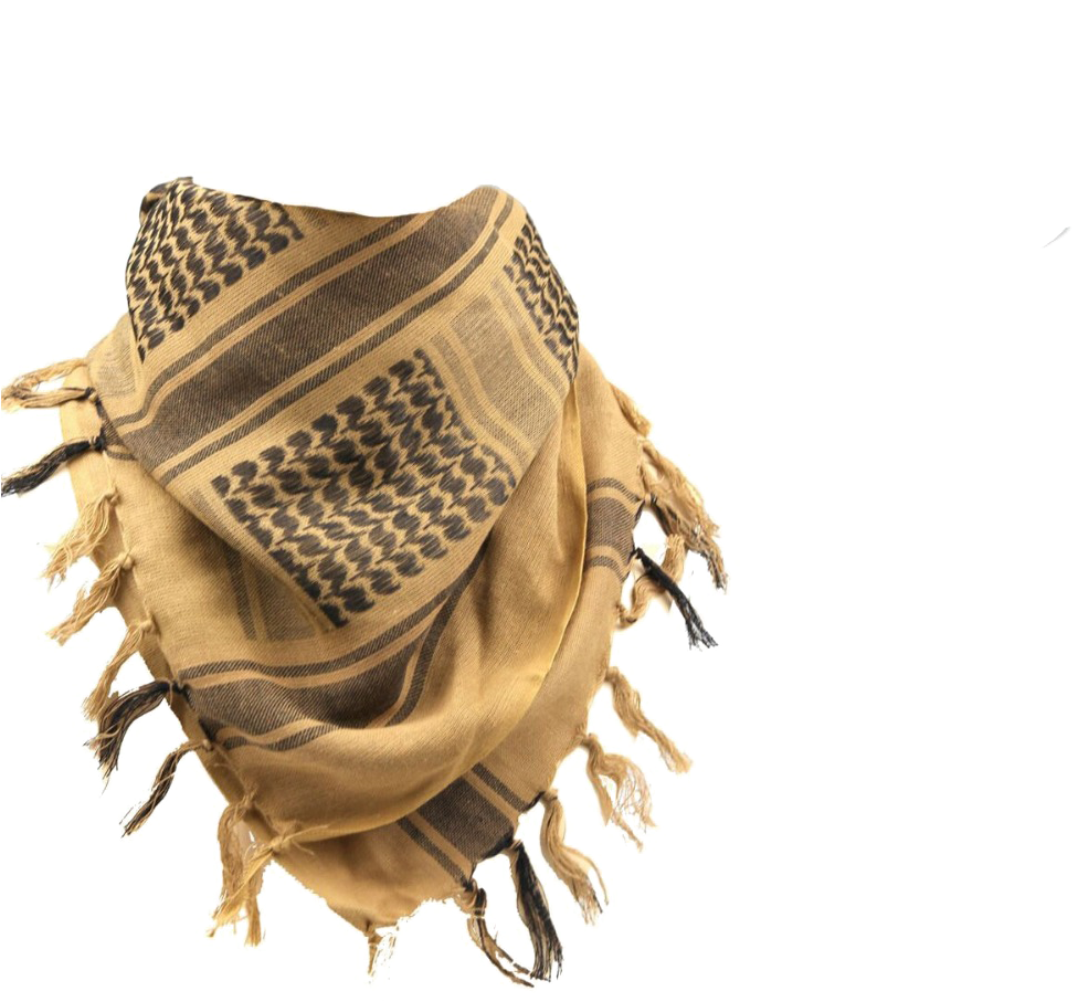 Patterned Brown Scarfwith Fringe PNG