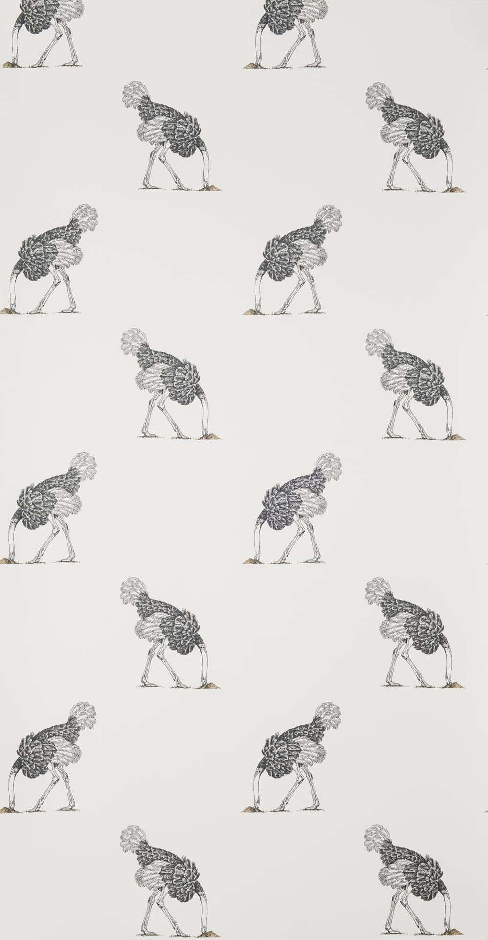 Patterned Ostrich Illustration Wallpaper