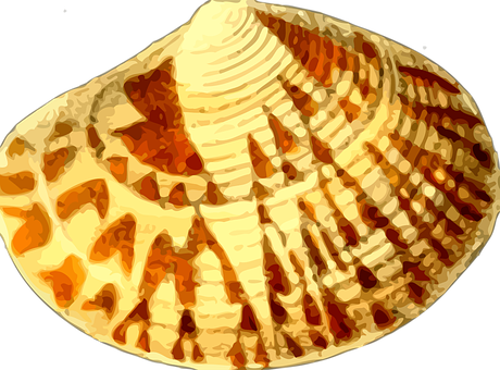 Patterned Seashell Artistic Rendering PNG