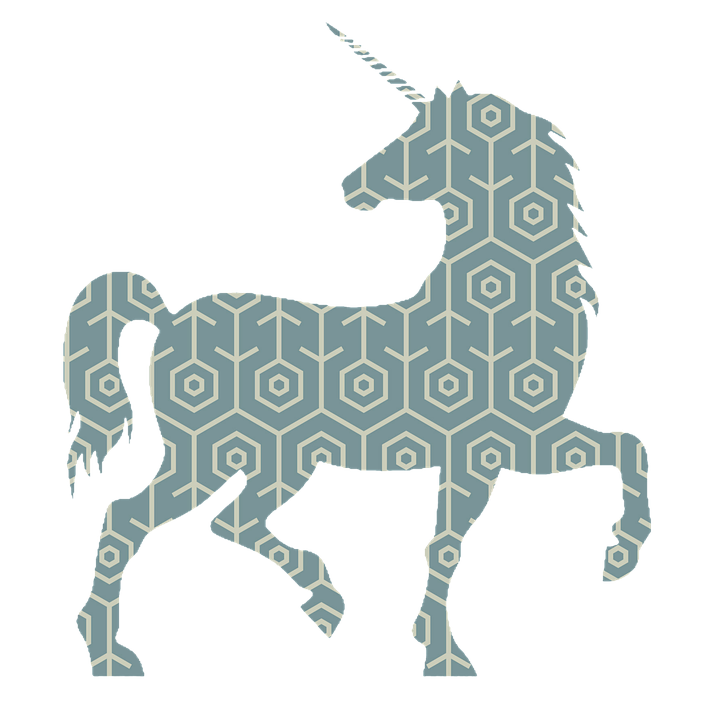 Patterned Unicorn Silhouette PNG