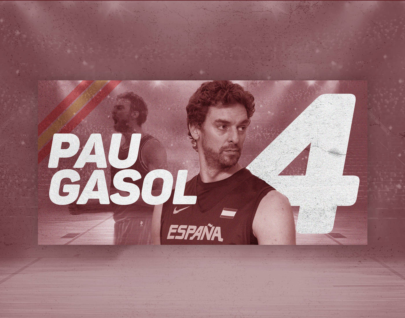 Pau Gasol Spain Basketball Player