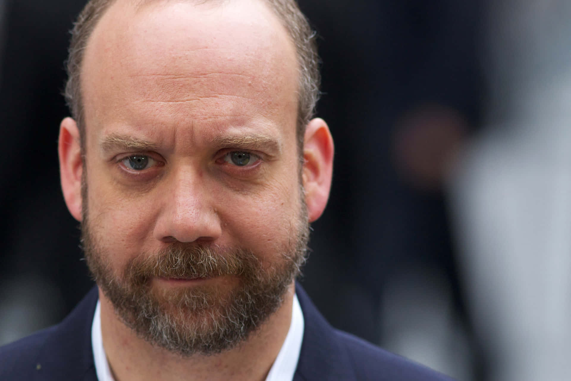 Actorde Hollywood Paul Giamatti Fondo de pantalla