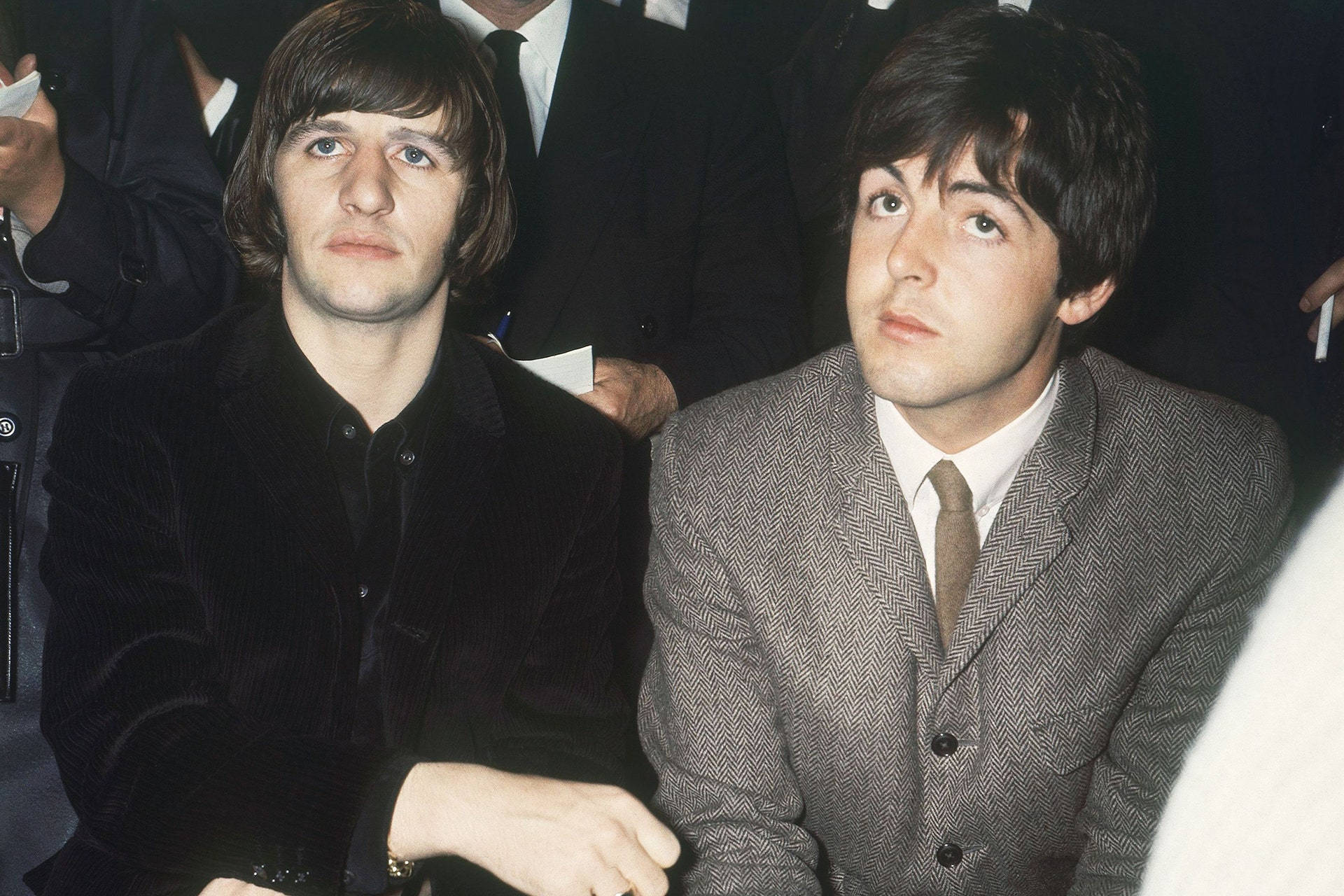 Iconic Beatles' members Paul McCartney and Ringo Starr in classic suits Wallpaper
