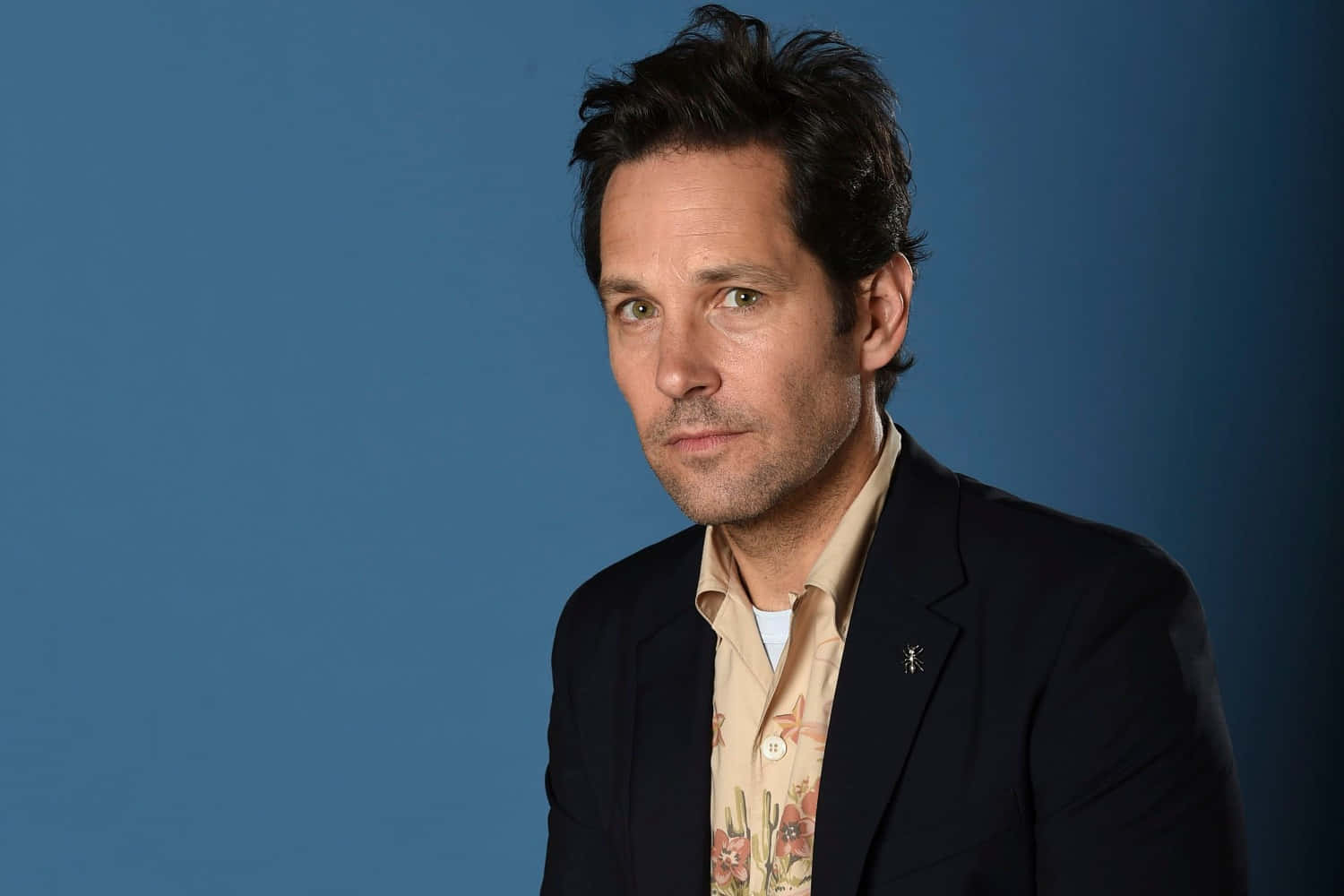 Paul Rudd: Excellence in Acting Wallpaper