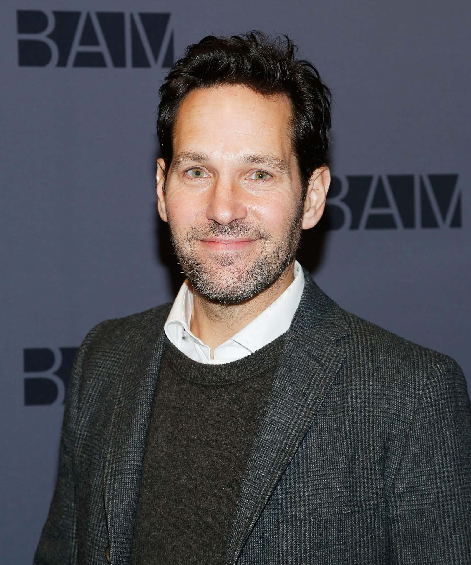 L'acteur Paul Rudd Fond d'écran