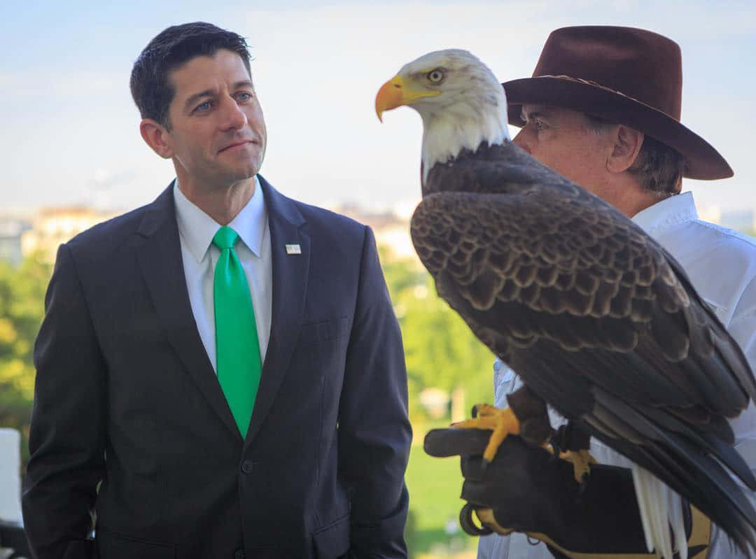 Paul Ryan With Eagle Wallpaper