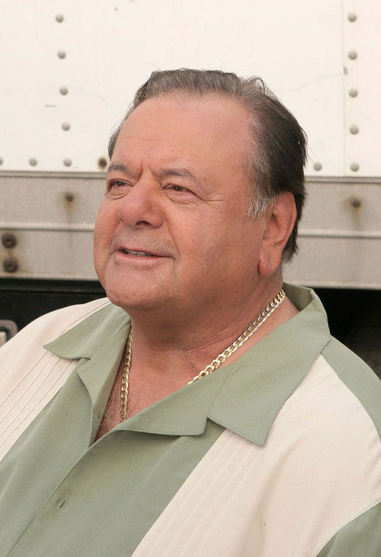 Hollywood Legende Paul Sorvino Bakgrunnsbildet