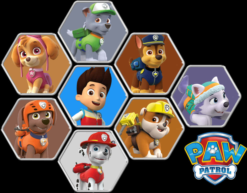 Paw Patrol Characters Collage PNG