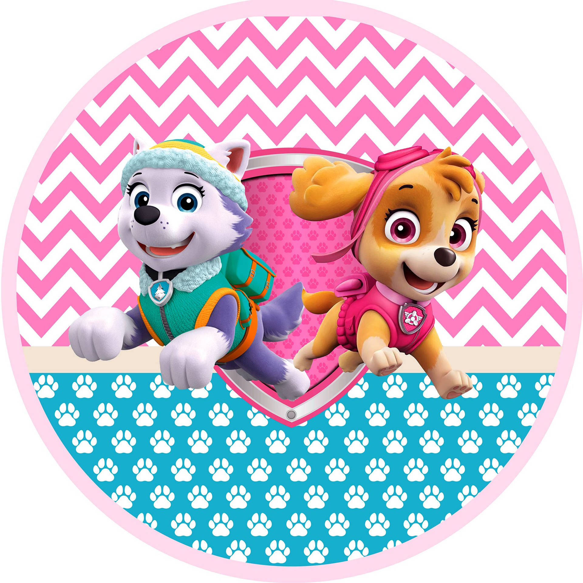 Paw Patrol Everest And Skye Wallpaper