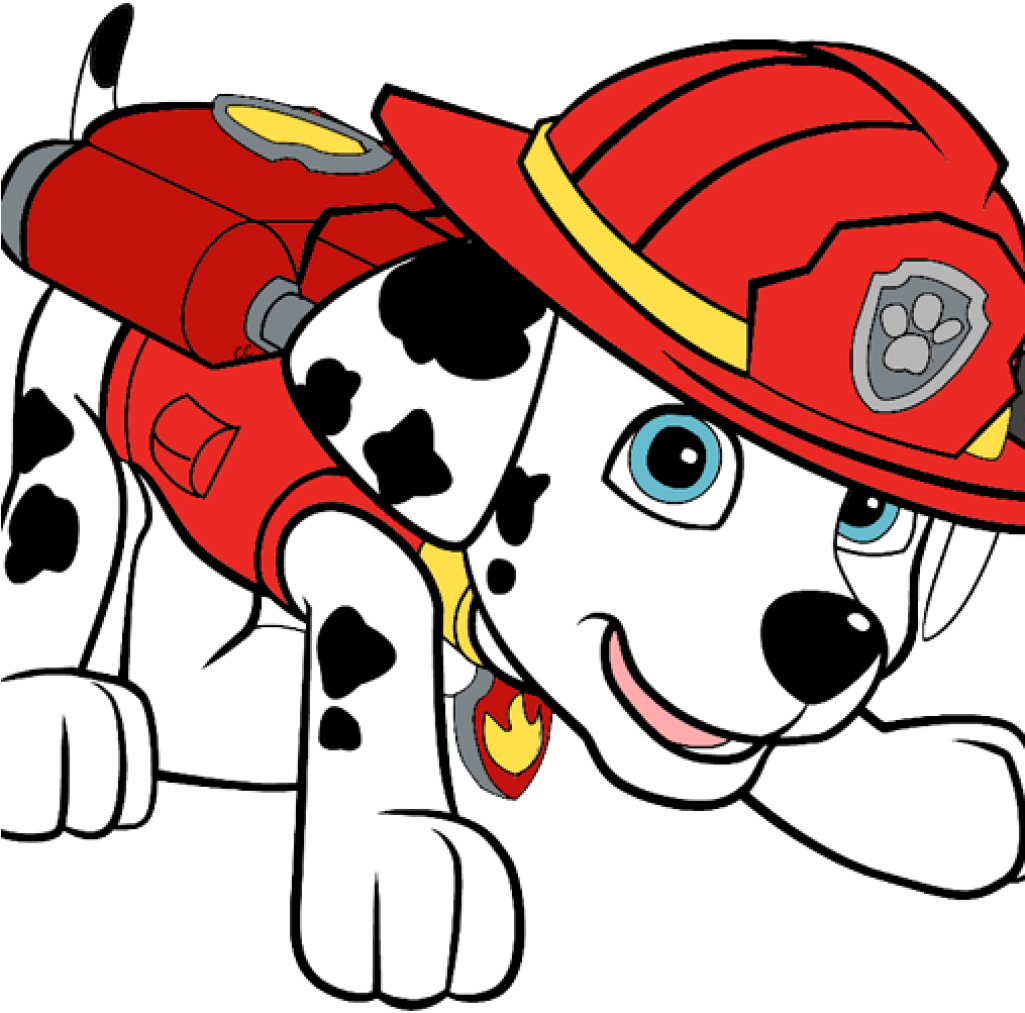 Download Paw Patrol Marshall Firefighter Pup | Wallpapers.com