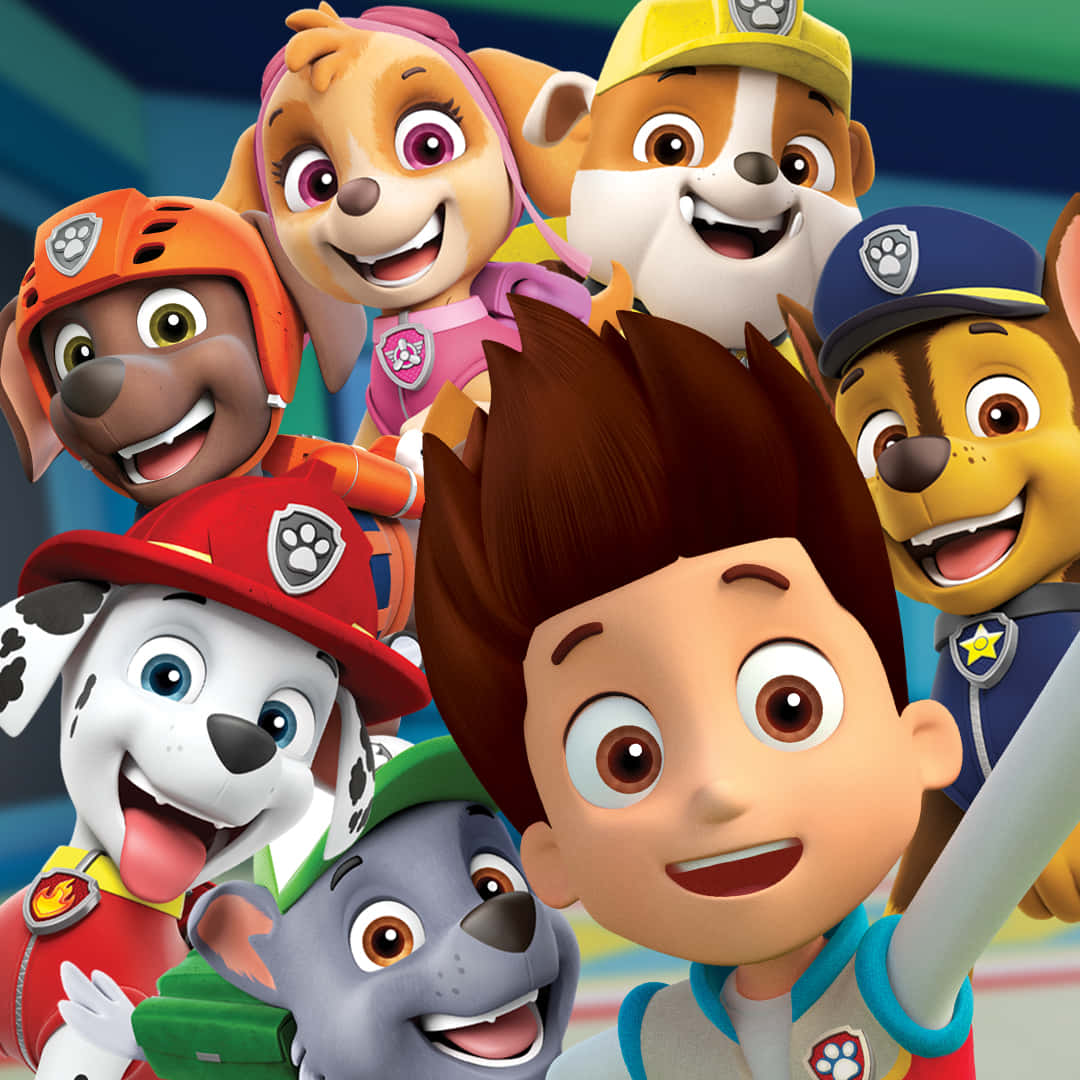 Vibrant Paw Patrol Characters In Action