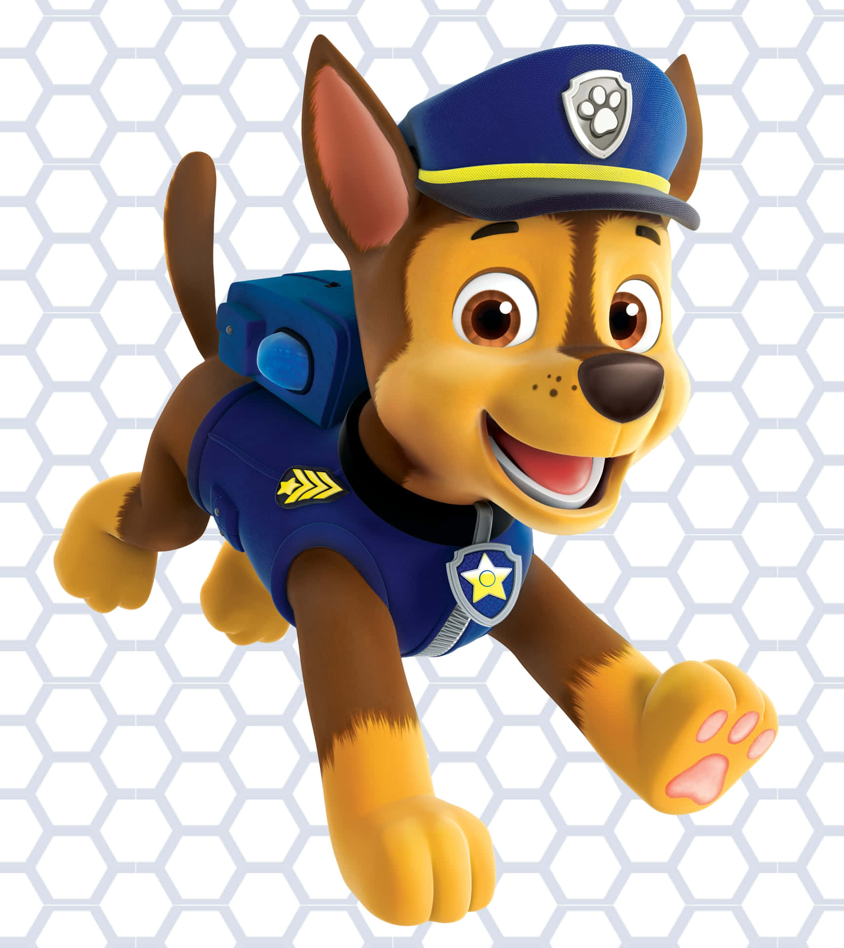 Get Ready for an Adventure with the Paw Patrol!