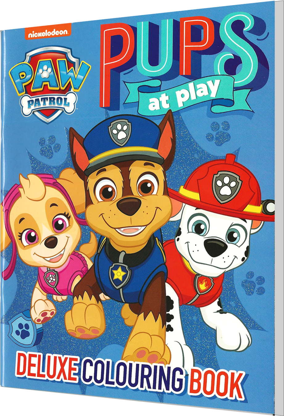 Paw Patrol Pupsat Play Coloring Book Cover PNG