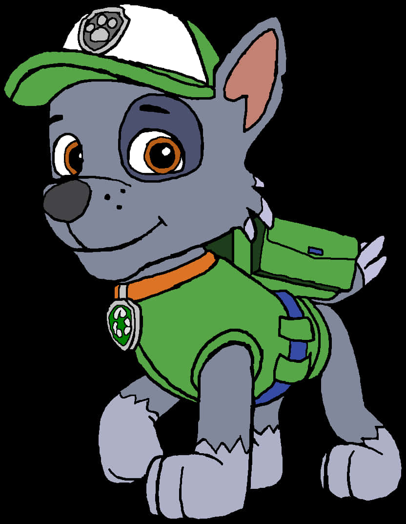 Paw Patrol Rocky Character Illustration PNG