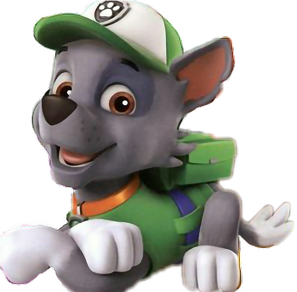 Paw Patrol Rocky Character Image PNG