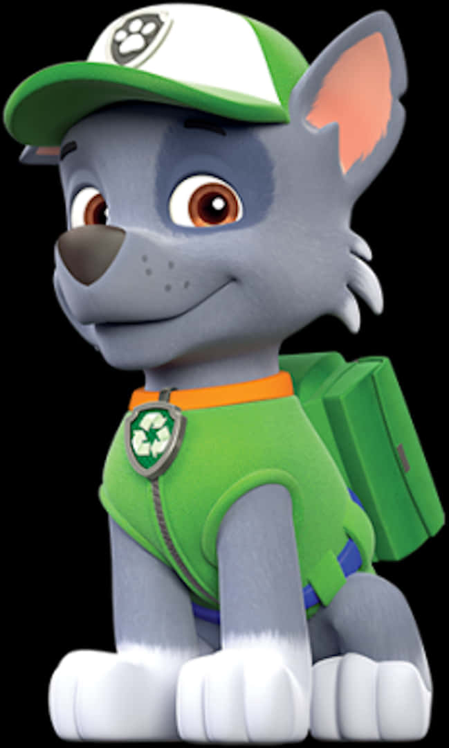 Paw Patrol Rocky Character Portrait PNG
