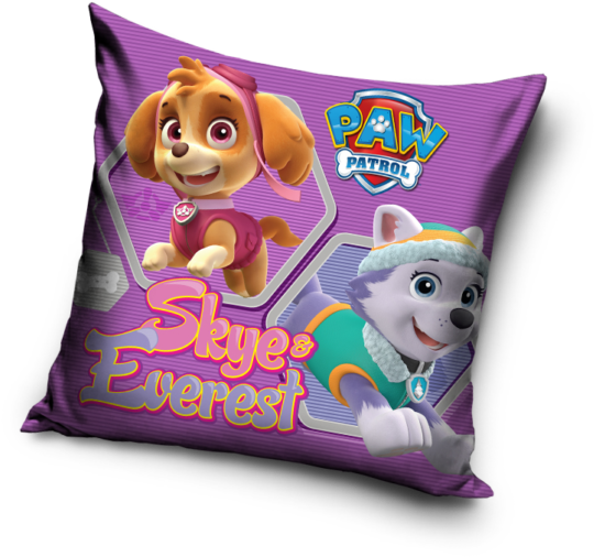 Paw Patrol Skyeand Everest Cushion PNG