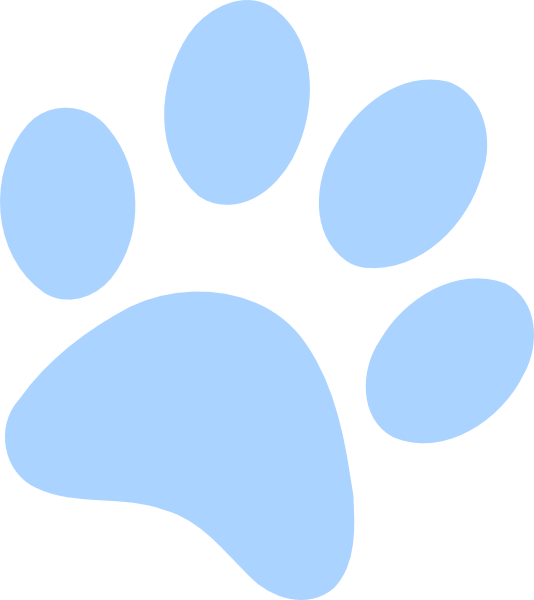 Paw Print Graphic Icon PNG