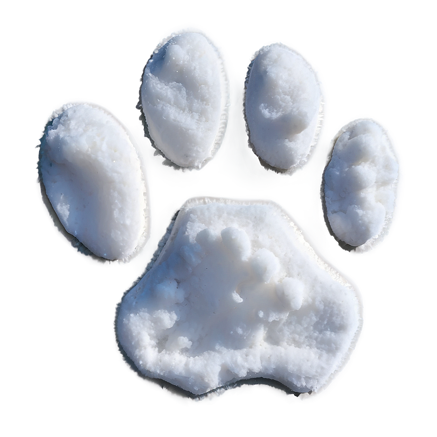 Paw Print In Snow Png 05042024 PNG
