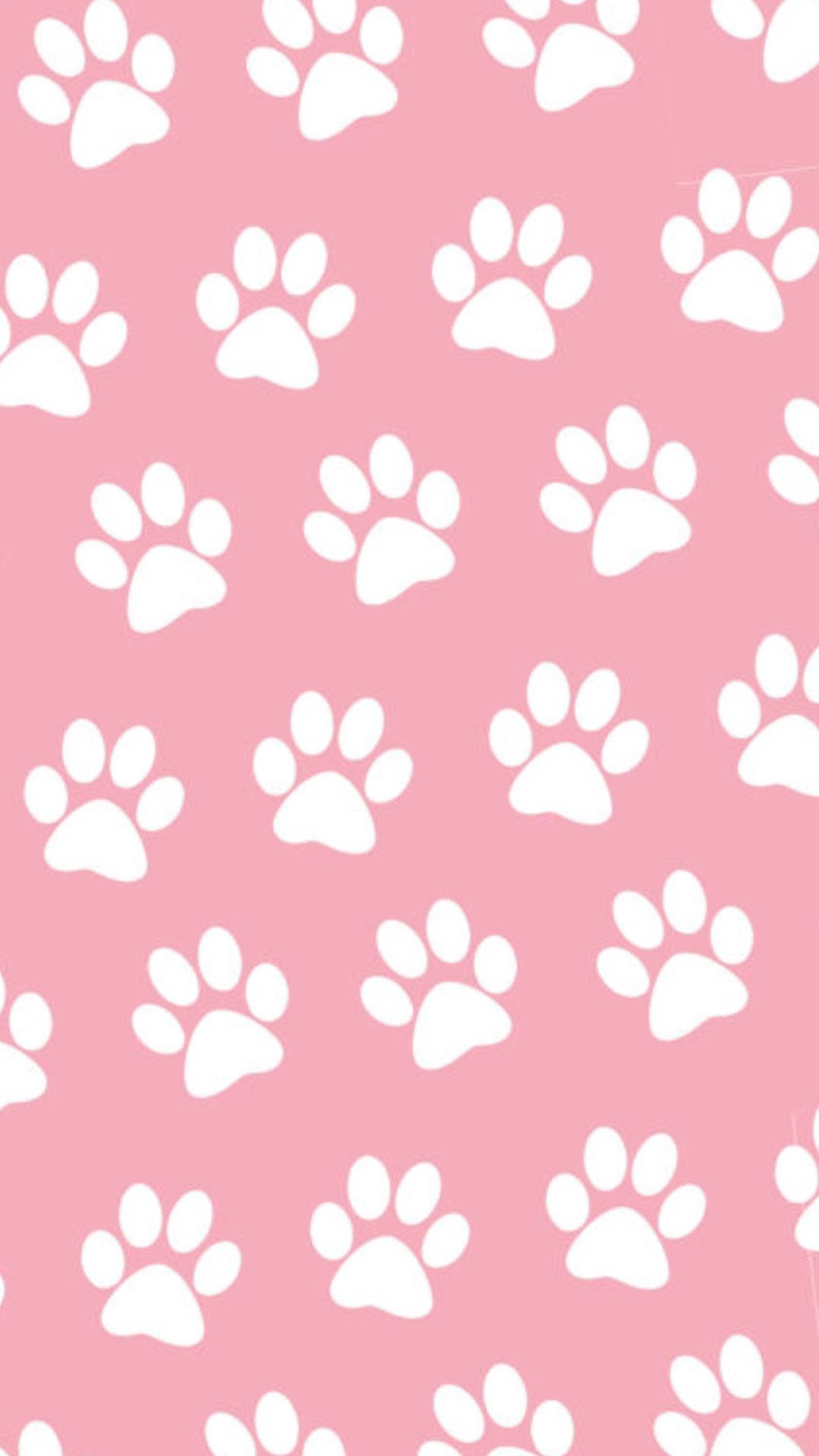 Paw Print Background Vector Art Icons and Graphics for Free Download