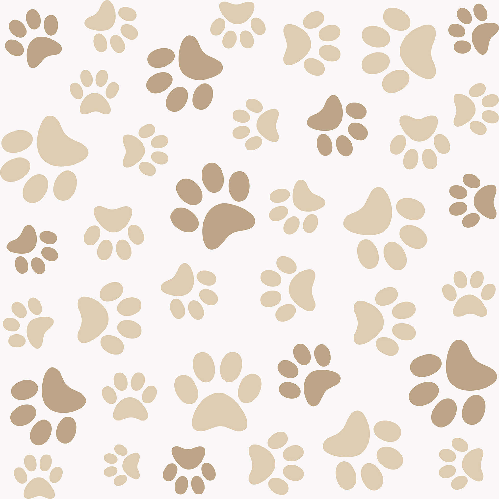 Pet Faces Peel And Stick Removable Wallpaper | Love vs. Design