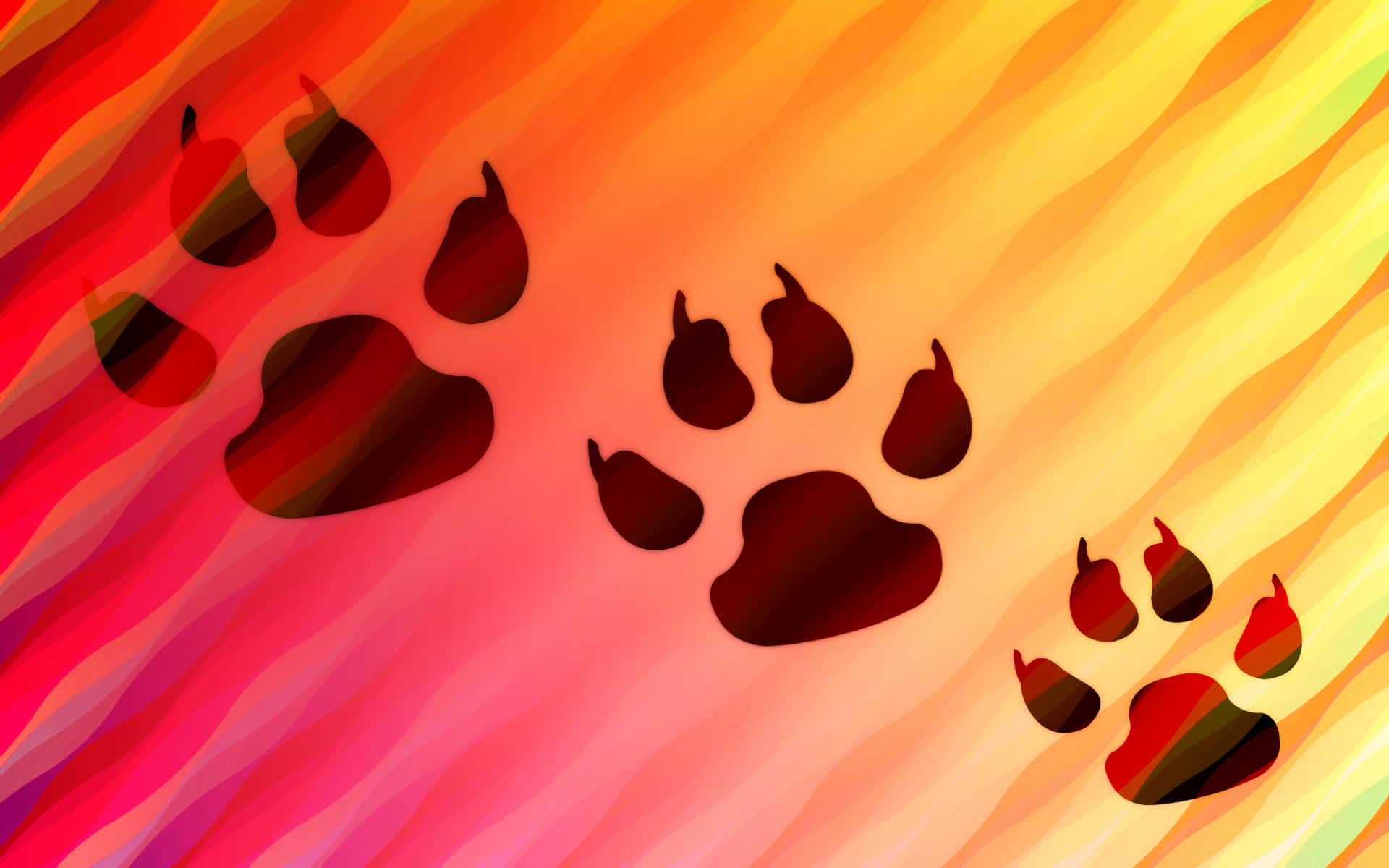 A Colorful Background With Paw Prints On It