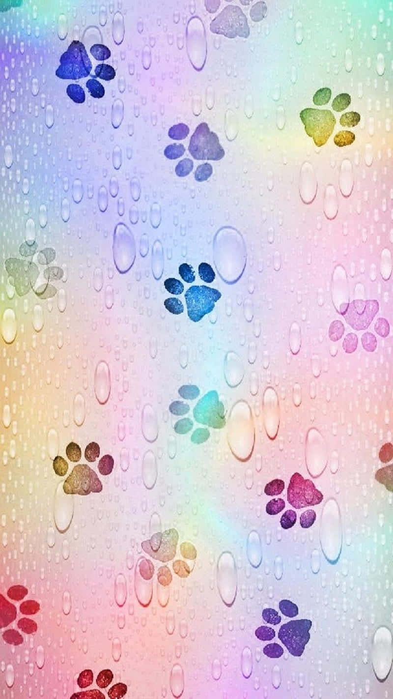 A Rainbow Background With Paw Prints On It