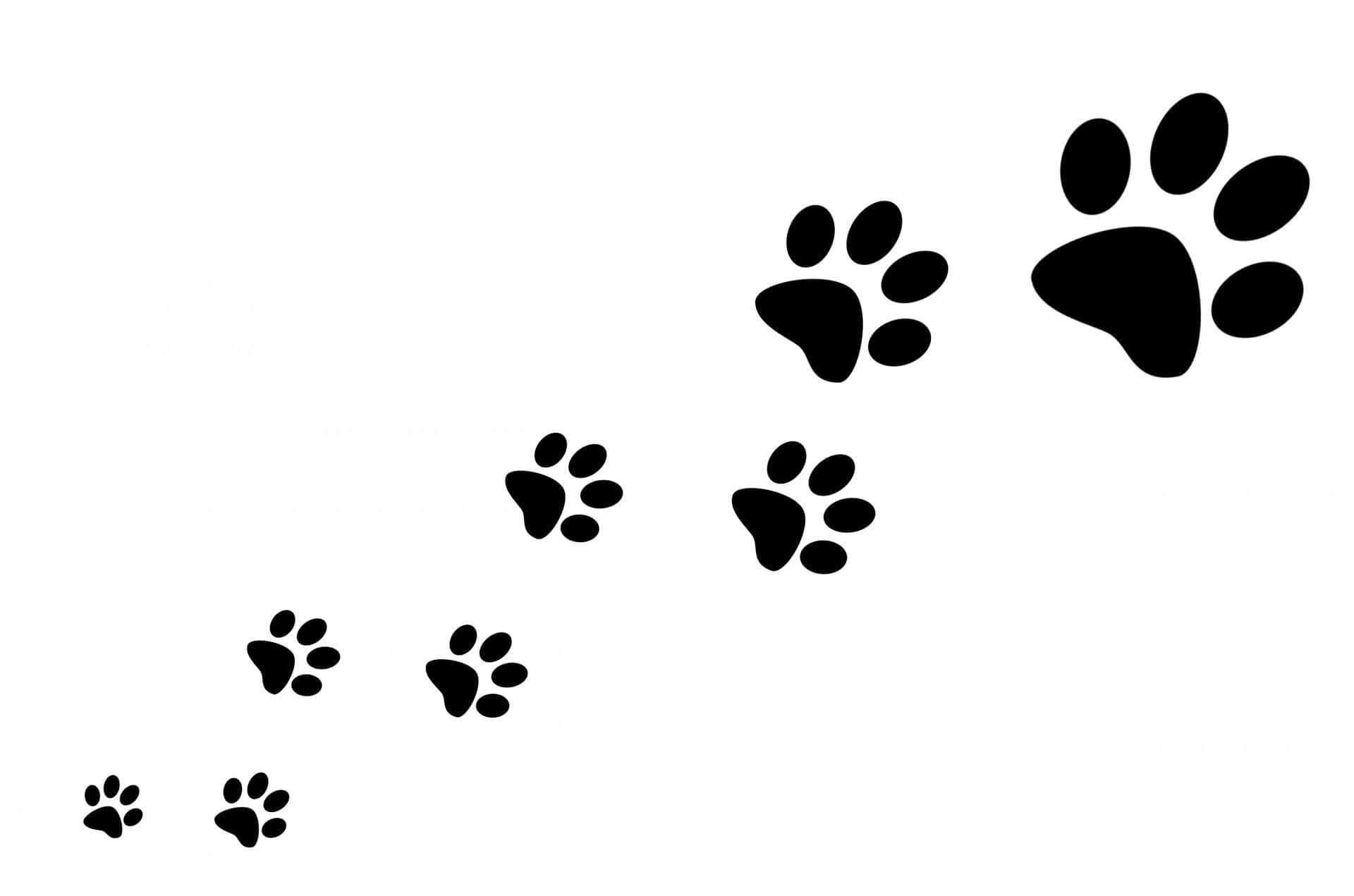 An adorable paw, perfect for a pet-lover!