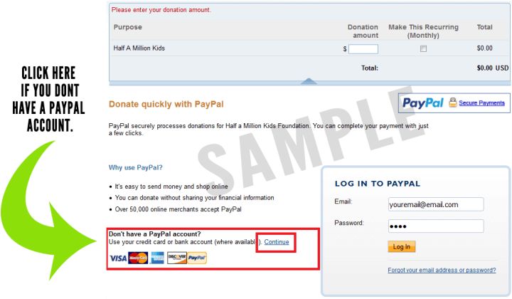 Pay Pal Donation Checkout Screen Sample PNG