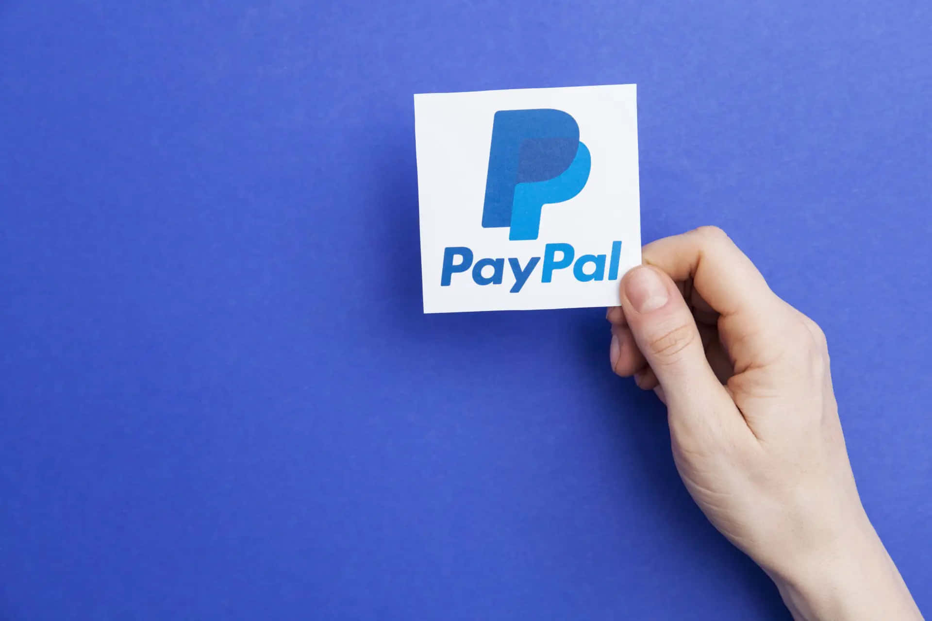 Paypaleinfach Bezahlen Und Bezahlt Werden