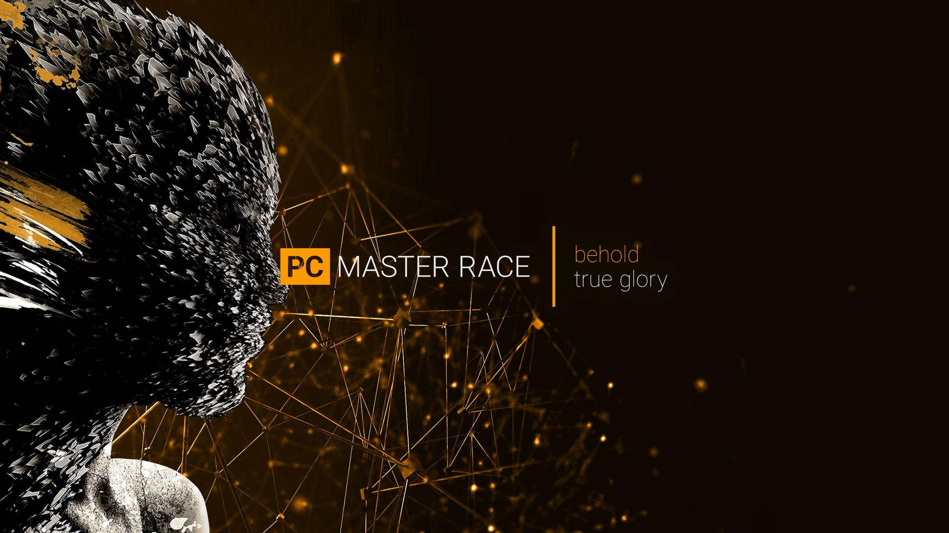 PC Master Race Face Wallpaper